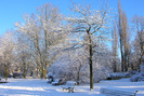 Winter im Park